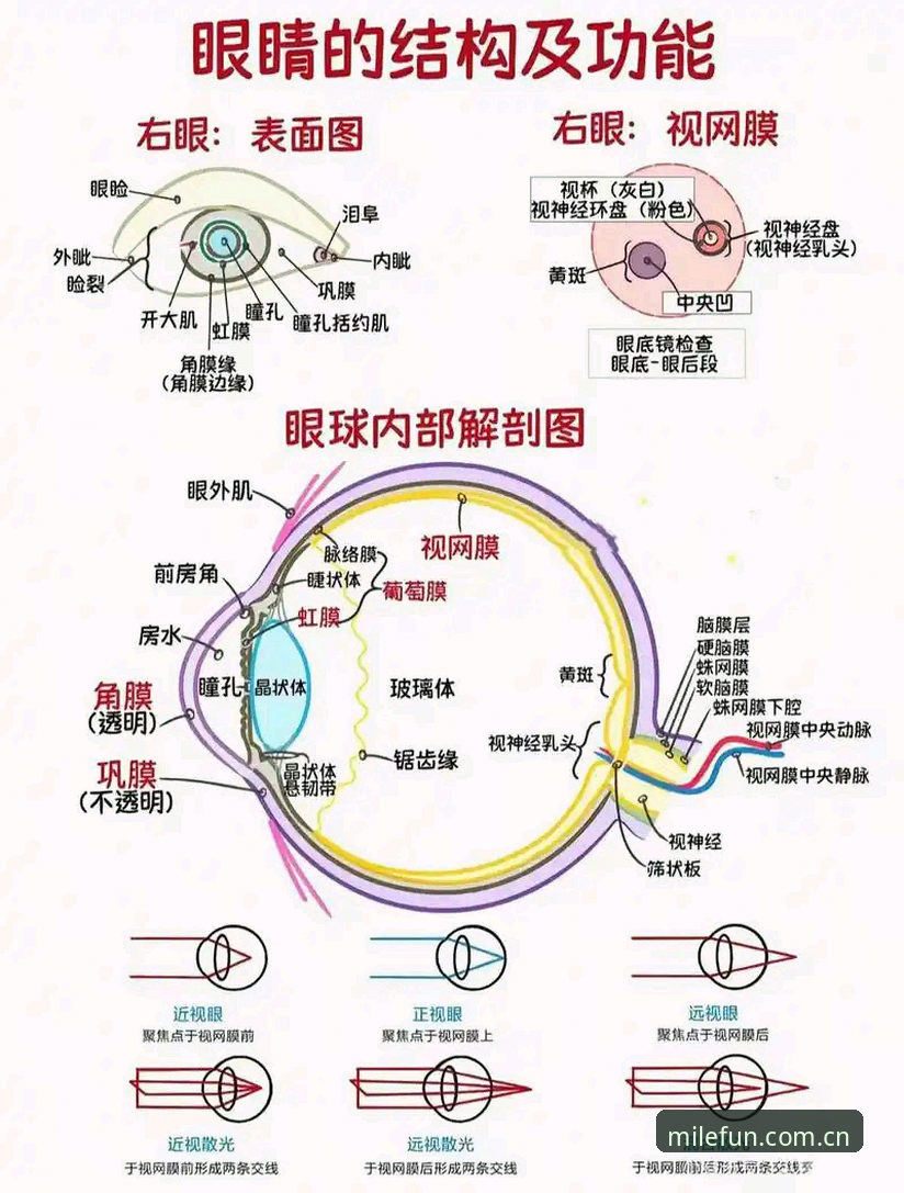 最新米乐2025新功能 米乐体育平台2025新功能实用指南:技术升级背后的操作细节与必备知识