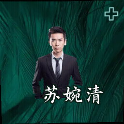 苏婉清